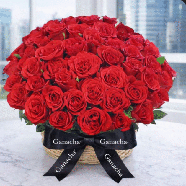 Big Rose Circle Box - 50 Roses